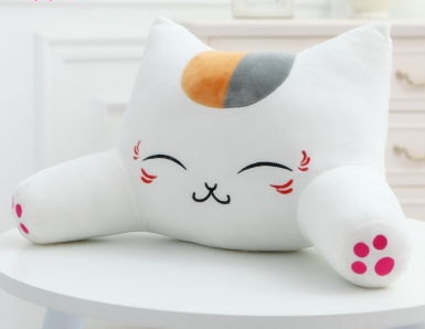 Cat Cushion