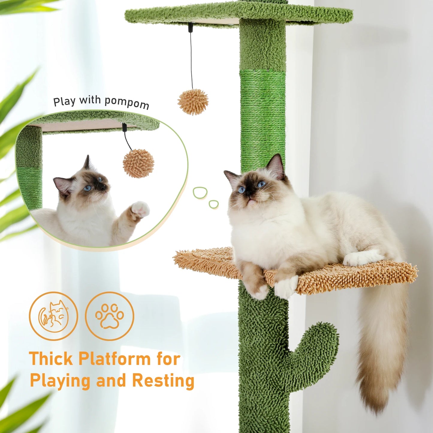 PAWZ Road Cat Tree Floor to Ceiling