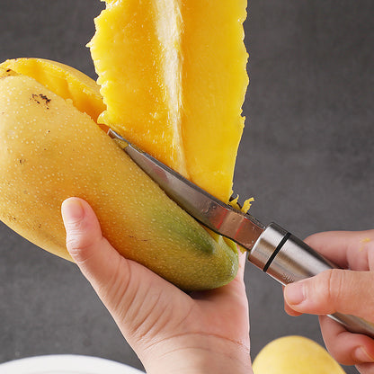 Stainless Steel Mango Corer